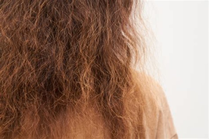 Are frizzy hair damaged hair?