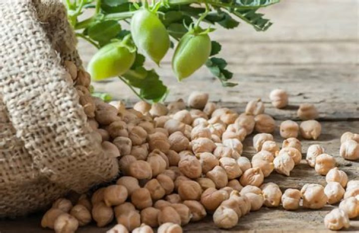 Are garbanzos good for dogs?