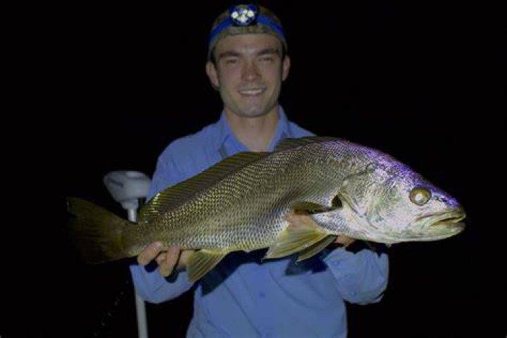 Are jewfish good eating?