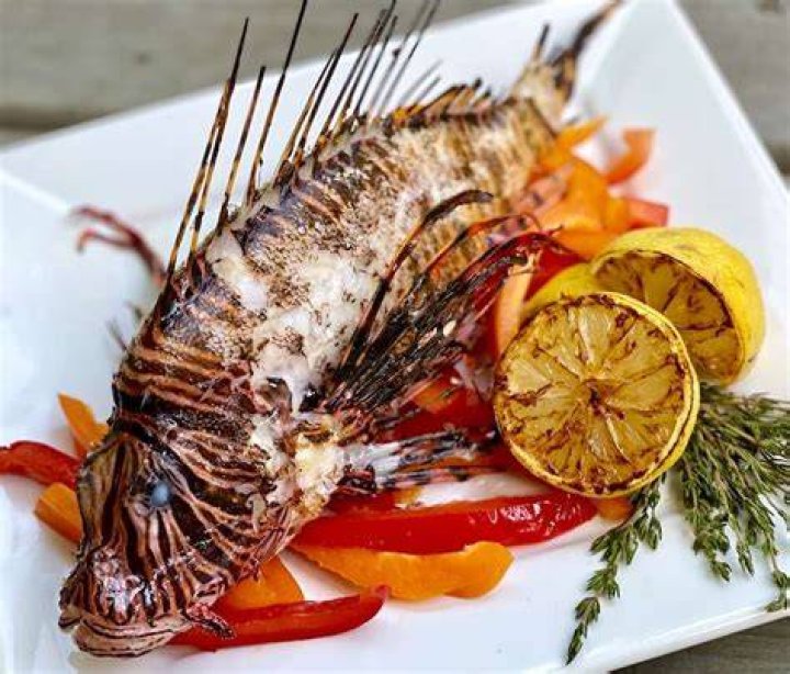Are lionfish good to eat?