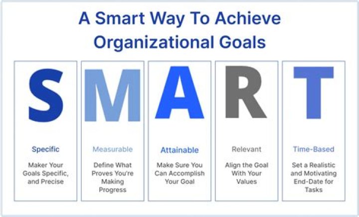 Are responsible for directly achieving organizational goals?