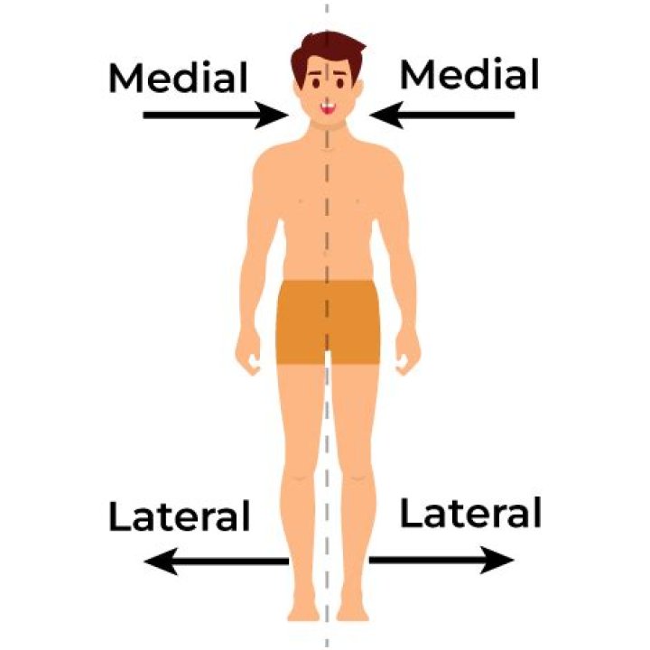 At does medial mean?