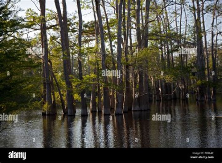Atchafalaya river at bayou sorrel?