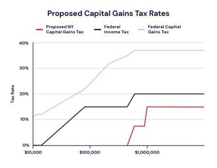 Can margin interest be deducted from capital gains?