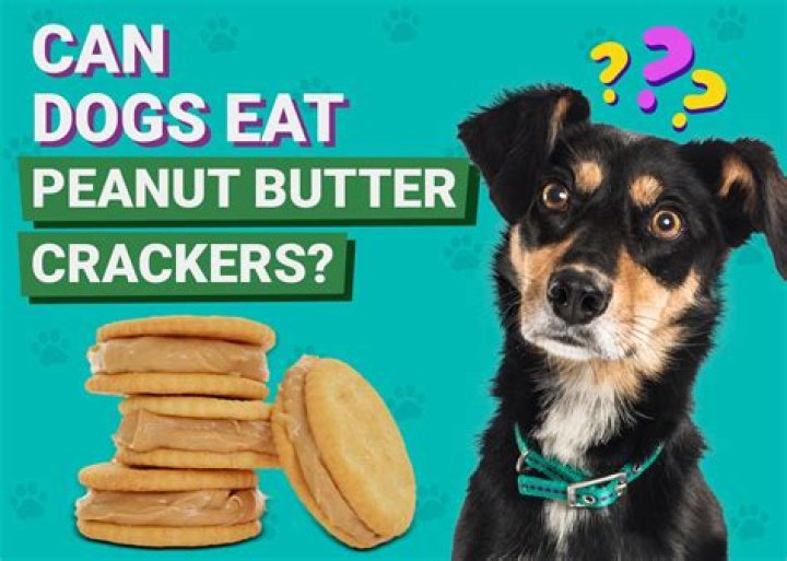 Can miniature schnauzers eat peanut butter?