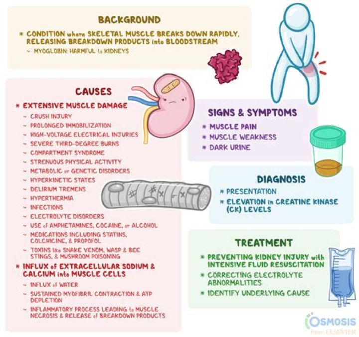 Can rhabdomyolysis cause fever?