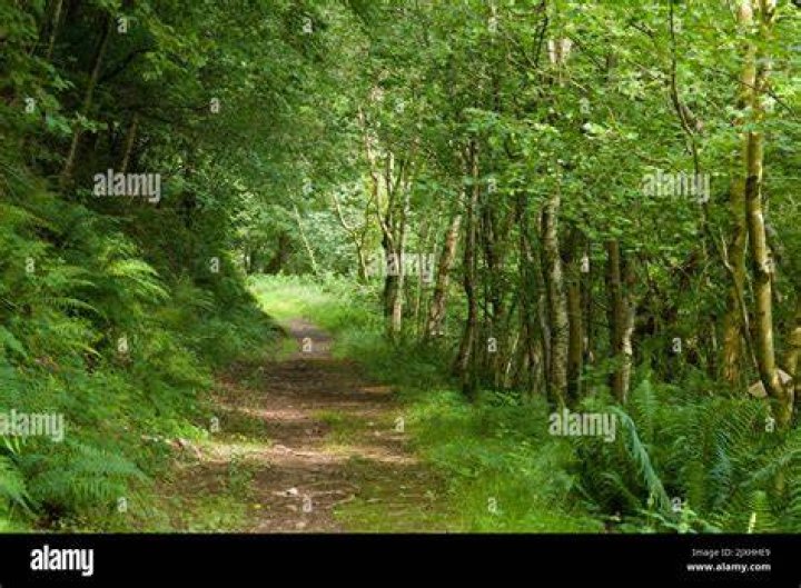 Can you cycle on a permissive bridleway?