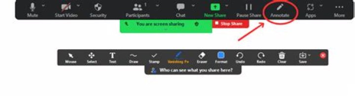 Can you see who annotates on zoom?