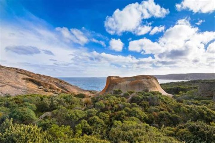 Can you take dogs into innes national park?