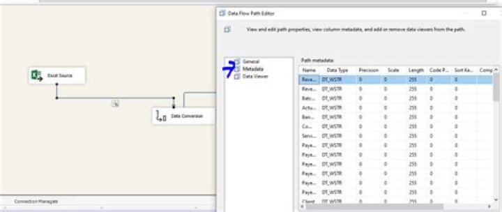 Data Flow Path Editor Added