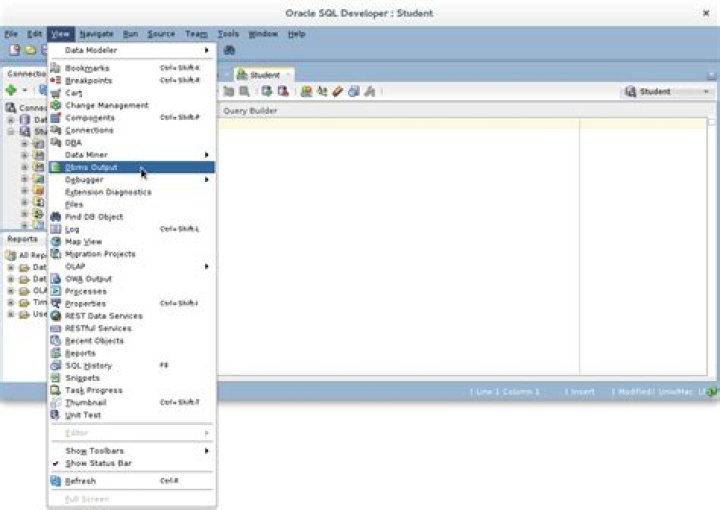 DBMS output window enabled