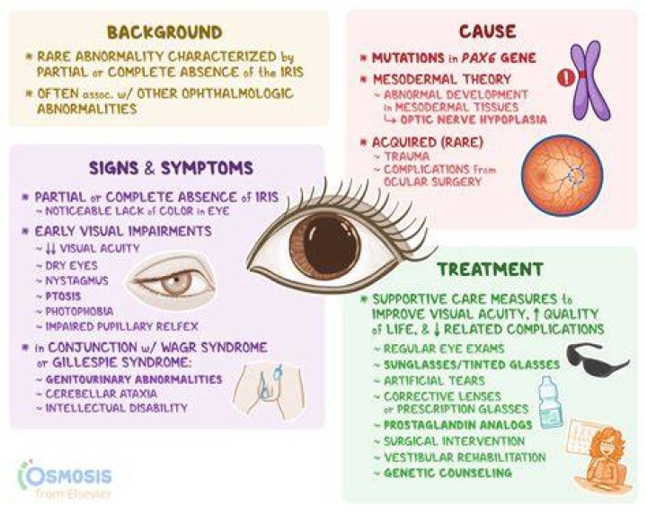 Does aniridia cause blindness?