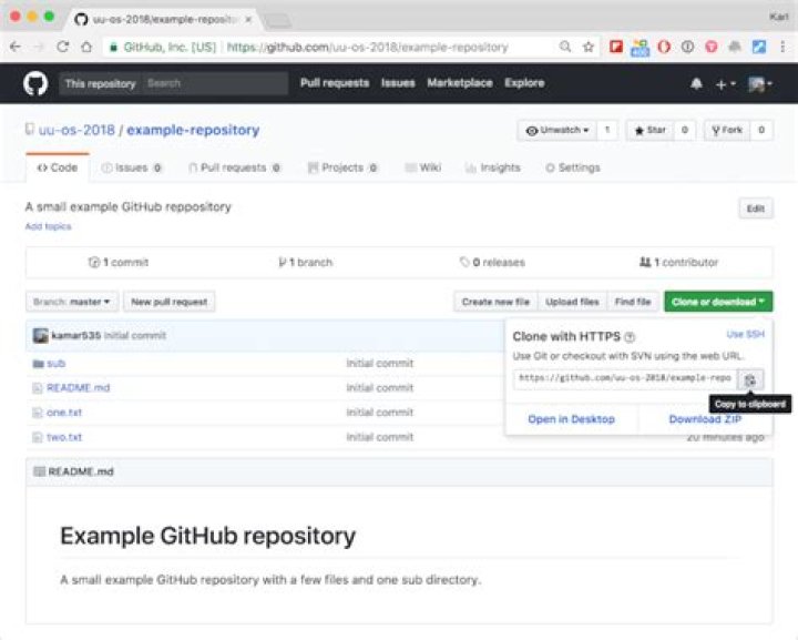 github repo URL example