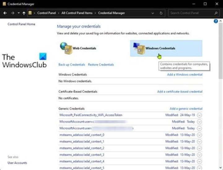 Go to Windows Credentials and Delete the entries under Generic Credentials 