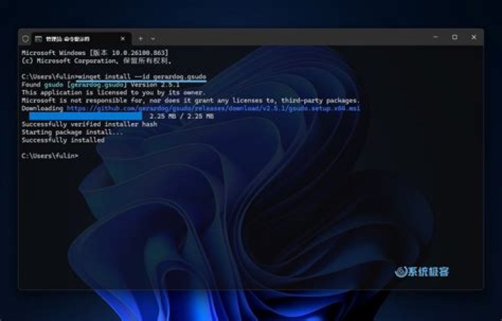 gsudo demo