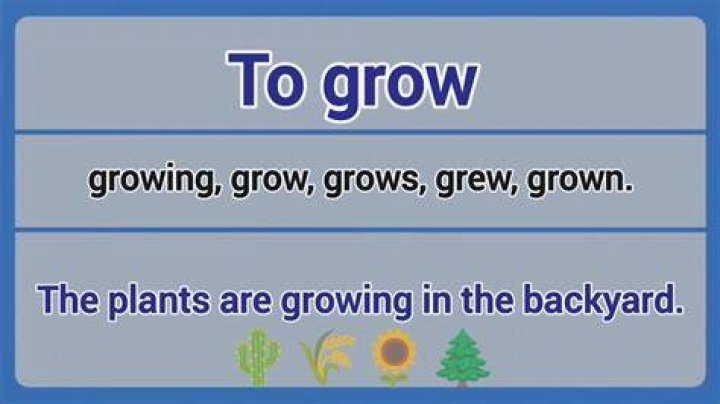 Has grown or grew?