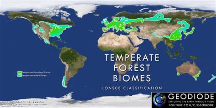 How are the temperate forests and the subarctic taiga similar?