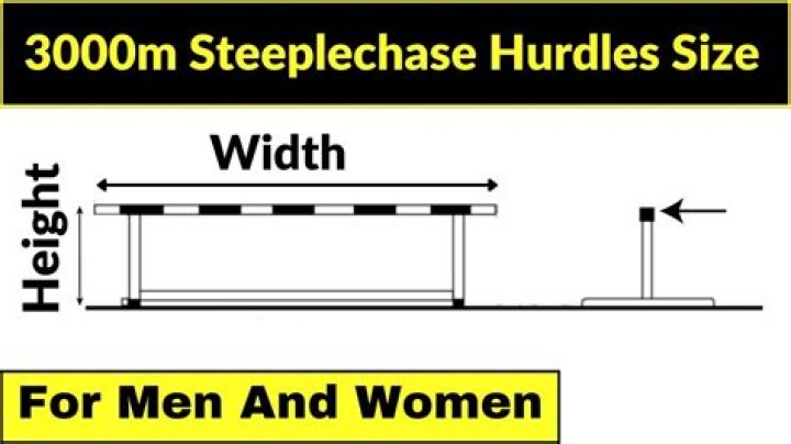 How high is the hurdle in the steeplechase?