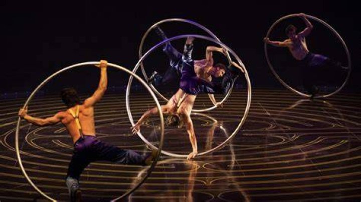 How many cirque du soleil performers have died?