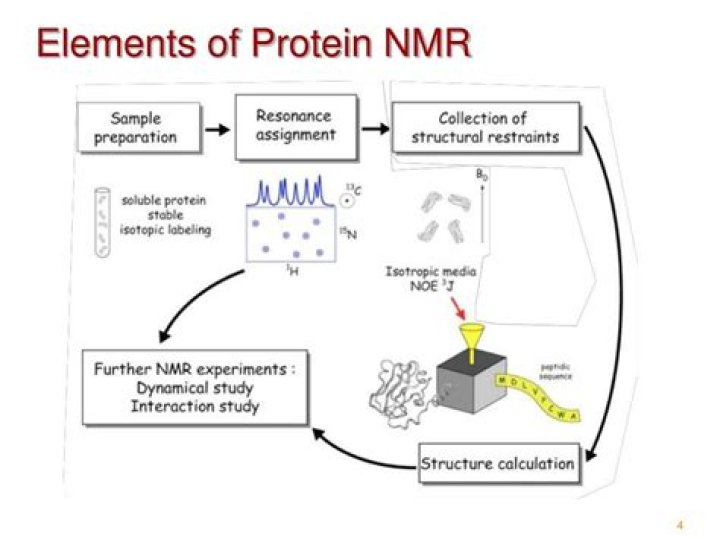 How nmr is used in protein structure determination?