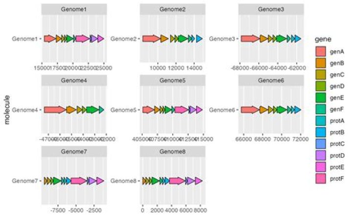 How to assign colours to specific genes in gggenes arrowplot?