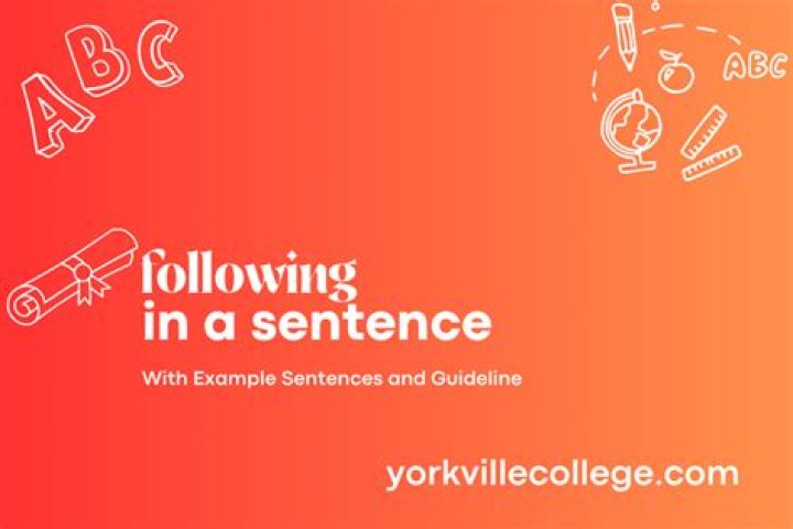 How to use following in a sentence?