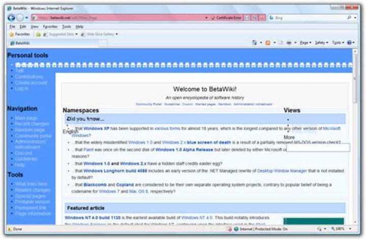 IE 8 screenshot