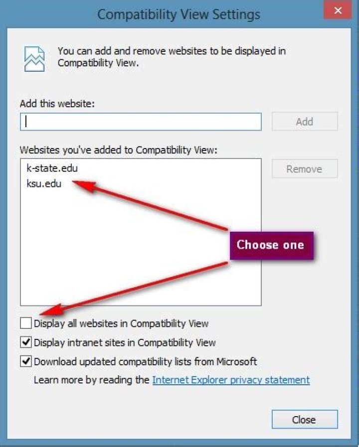 IE Compatibility View Settings dialog