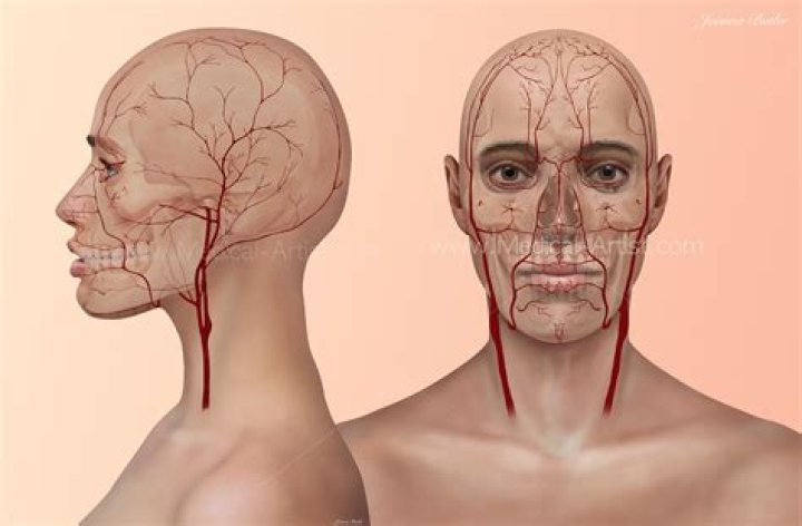 Illustration of HEAD in attached and detached state.