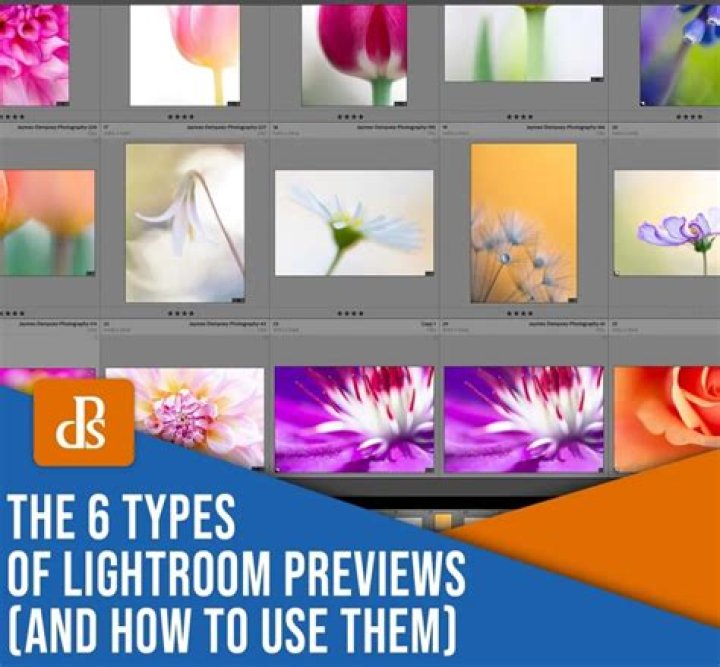 Image showing the 6 types a JSON value can be: string, number, JSON object, Array/list, boolean, and null