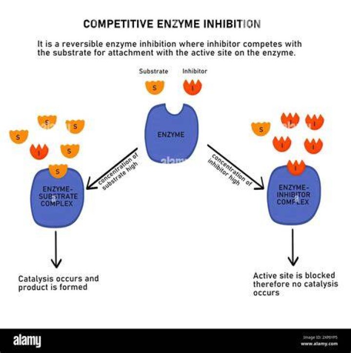 In competitive inhibition an inhibitor?