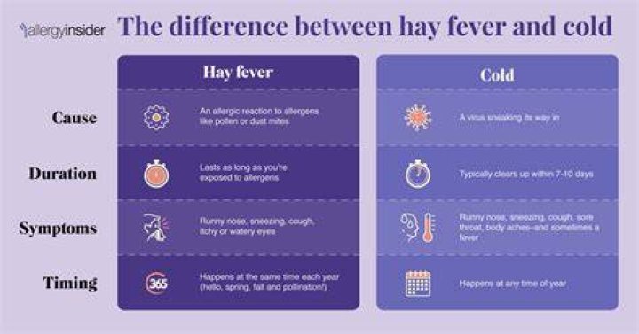 In hay fever meaning?