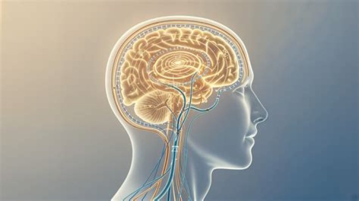 In psychology what is mimicry?