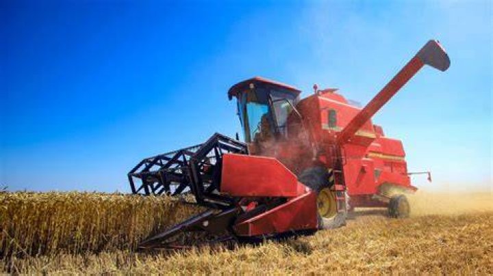 In what sorts of areas are agricultural activities concentrated?