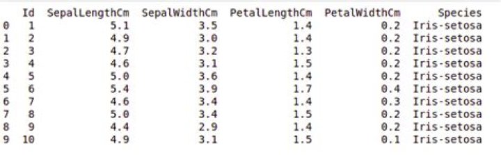 iris data