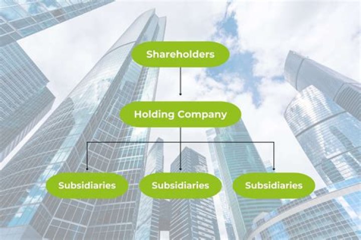 Is a holding company a passive nffe?