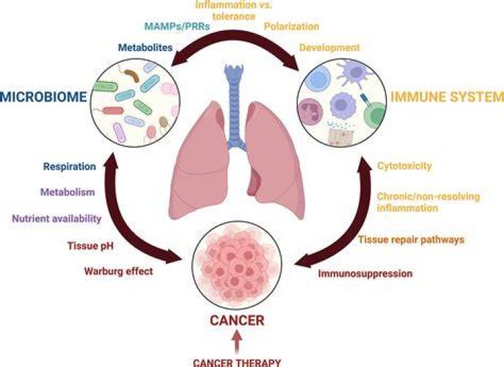 Is air fresheners bad for lungs?