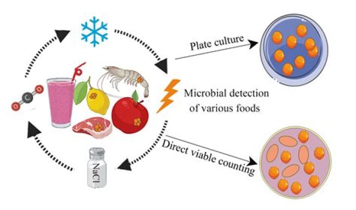 Is an agent that prevents the multiplication of microorganisms?