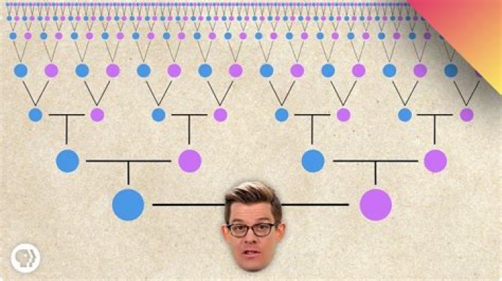 Is everyone technically related?