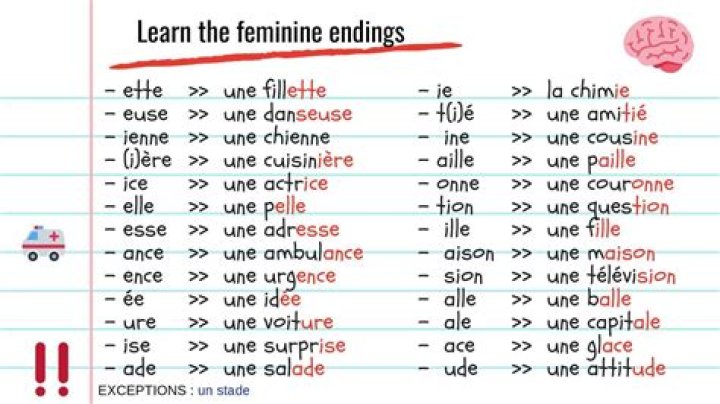Is francais masculine or feminine?