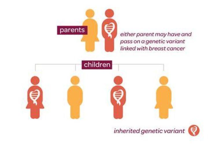 Is gynecological cancer hereditary?