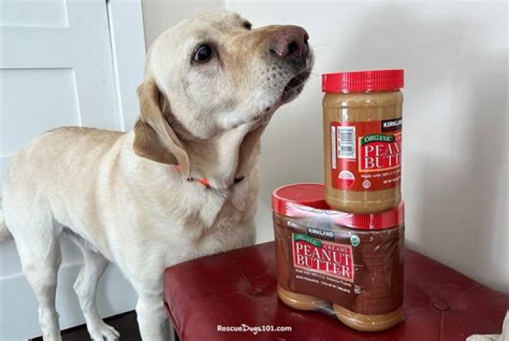 Is maribel peanut butter safe for dogs?