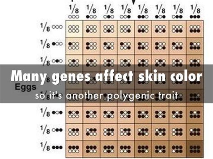 Is skin color a mendelian trait?