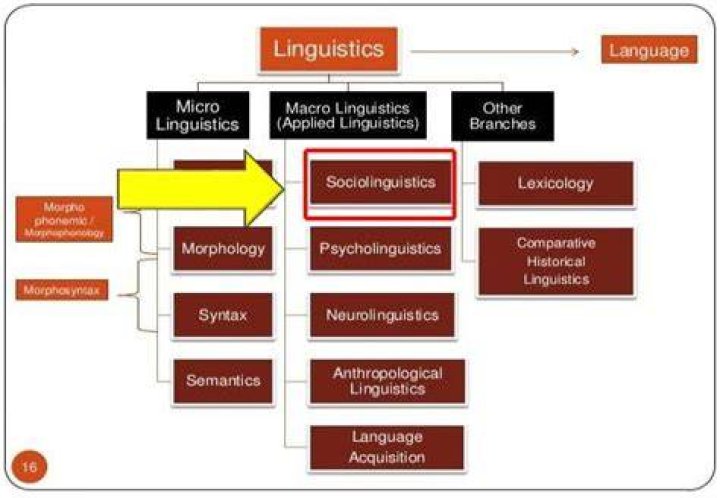 Is sociolinguistics a branch of applied linguistics?