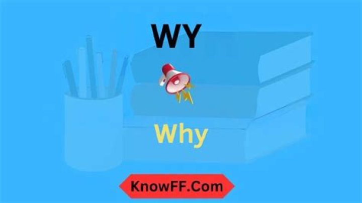 Is wy a word?