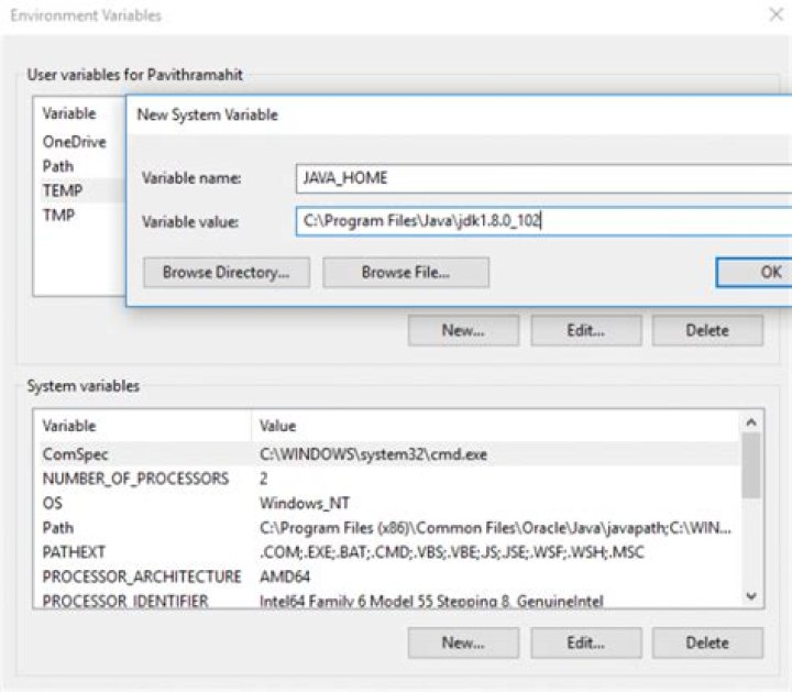 JAVA_HOME