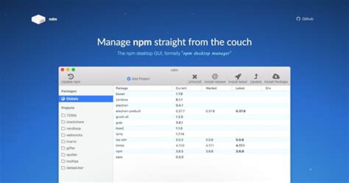 NPM Desktop manager