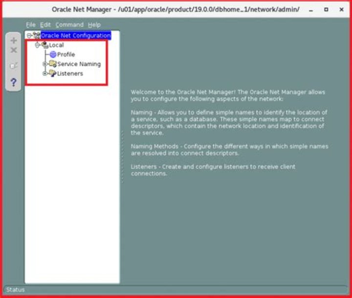 Oracle Net Manager example
