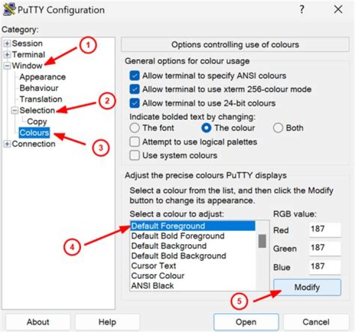 putty settings