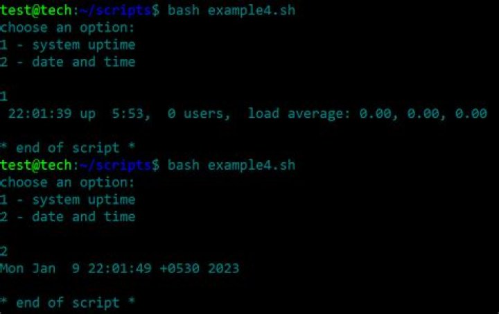 Screenshot of script output for example database